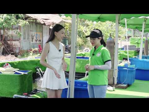 Video Cá Cảnh Thanh Liêm trên Youtube